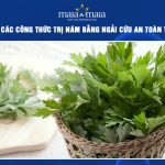 trị nám bằng ngải cứu