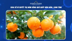 Chia sẻ bí quyết trị nám bằng quả quất đơn giản, lành tính  82 trị nám bằng quả quất