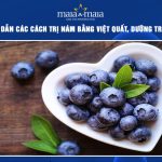trị nám bằng việt quất