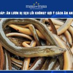 ăn lươn có bị sẹo lồi không