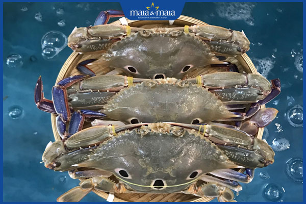 Ăn ghẹ có bị sẹo lồi không? Thời gian kiêng kéo dài bao lâu? 2 kích ứng khi ăn ghẹ