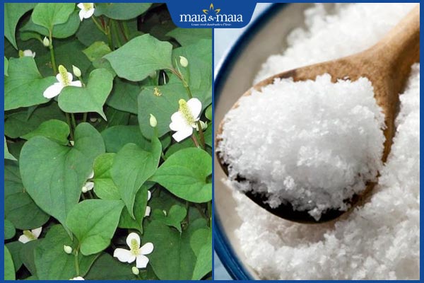 Cách trị sẹo lõm bằng rau diếp cá tại nhà hiệu quả ra sao? 4 diếp cá và muối biển