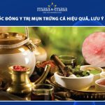 thuốc đông y trị mụn trứng cá