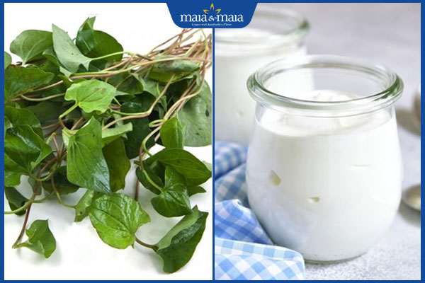 Trị mụn đầu đen bằng rau diếp cá có hiệu quả như lời đồn? 4 diếp cá và sữa chua không đường