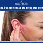 mụn trứng cá ở tai